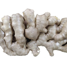 Chinese Mature Wholesale air-dried ginger